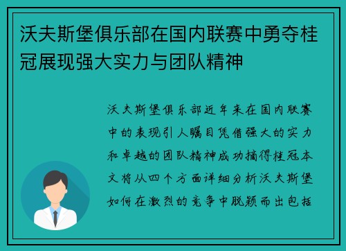 沃夫斯堡俱乐部在国内联赛中勇夺桂冠展现强大实力与团队精神