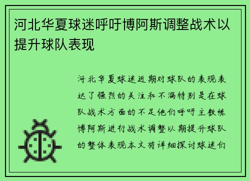 河北华夏球迷呼吁博阿斯调整战术以提升球队表现