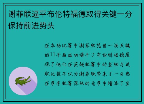 谢菲联逼平布伦特福德取得关键一分保持前进势头